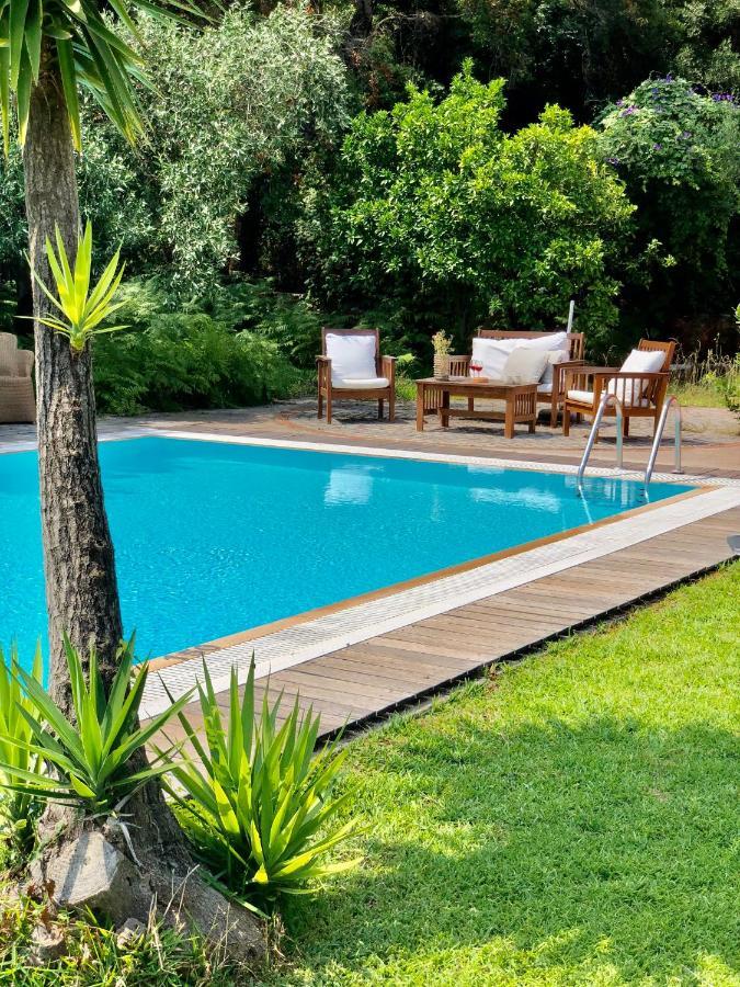 Gialos Villas 1-2 With A Private Pool Mikrósz Jalósz Kültér fotó